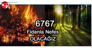 ZONDEFten “6767” fidan kampanyası