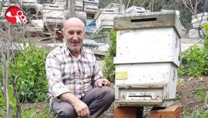 DİKKAT:Bazı arılar öldürücü olabilir