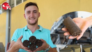 Doğaya faydalı kömür: İşte ayrıntılar...