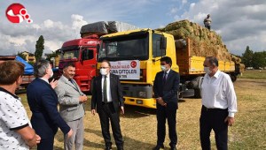 Vali Tutulmazdan temas ve incelemeler...