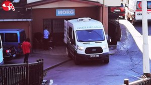 Yolun karşısına geçmeye çalışırken canlarından olmuşlardı