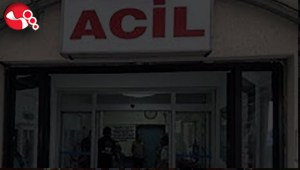 Ağaçtan düştü,hastaneye kaldırıldı..