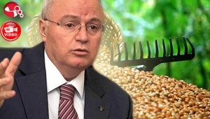 Erkmen, “Fındık üretici mağdur”