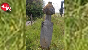 Alaplılı vatandaşlardan müze talebi