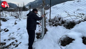 Her şey sokak hayvanları için