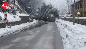 Heyelan nedeniyle...