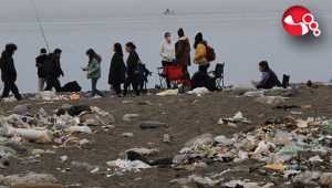 Çevre felaketinin ortasında piknik keyfi