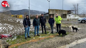 Sokak hayvanlarını unutmadılar…