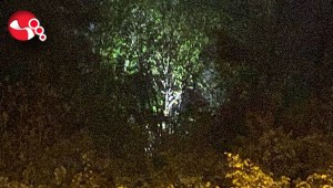 Her yerde aranıyordu...