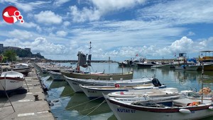 Balıkçılar yeni sezondan umutlu