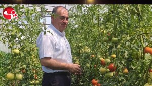 İlçe Tarım Müdürünün tayini çıktı