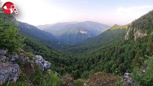 Ormanlık alanlara giriş ve çıkışlar...