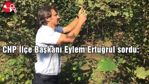 “Ereğlili fındık üreticisi neden mağdur ediliyor”