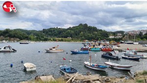 Alaplıda 150 tekne limanda mahsur kaldı