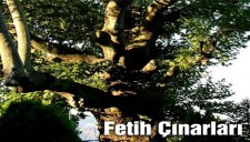 EREĞLİNİN DEMİRBAŞLARI