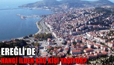KDZ. EREĞLİDE EN ÇOK HANGİ İLDEN KAÇ KİŞİ YAŞIYOR