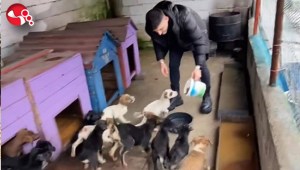 Rehabilitasyon merkezindeki hayvanları unutmadılar