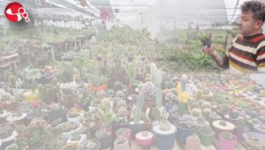 Büyük ilgi görüyor