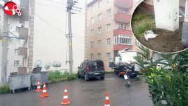 Elektrik direğinde çıkan yangın korkuttu