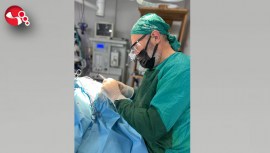 Sokak hayvanlarına ücretsiz muayene