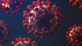 UZMANINDAN ERİS VARYANTI UYARISI : Eylülde artabilir..