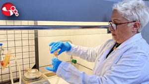 Prostat ve meme kanserinde umut ışığı