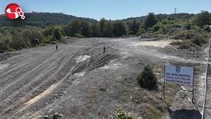 Sokak Hayvanları yaşatılacak...
