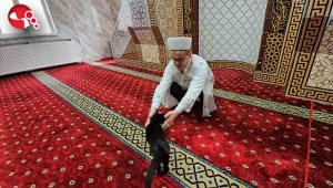 Lola, caminin müdavimi oldu