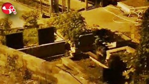 Mezarlıkta görüldü