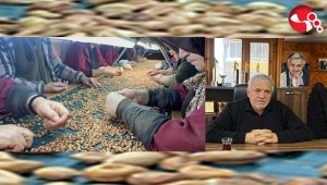 Fındık fiyatları yükselecek mi