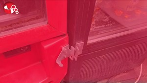 AHH BU ÇOCUKLAR....