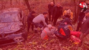 Otonobil ormanlık alana uçtu