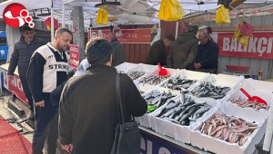 Hamsi yoğunluğu yaşandı