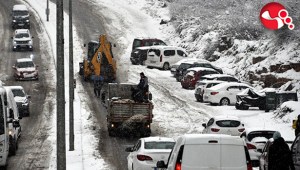 Karla Mücadele devam ediyor