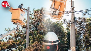 Başkent EDAŞ Zonguldakın enerji altyapısını güçlendirmeye devam ediyor