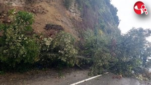 HEYELAN... HEYELAN...