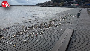 Dalgalarla sürüklenen plastik atıklar sahile vurdu