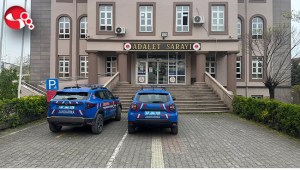 Uyuşturucu özellikli kaktüs ele geçirildi