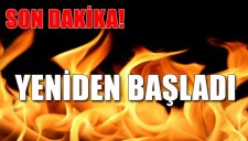 ARMUTÇUKTAKİ YANGIN YENİDEN BAŞLADI