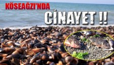 KİMSE GÖZLERİNE İNANAMADI