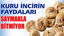 KURU İNCİRİN FAYDALARI