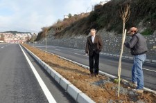 ALAPLI BELEDİYESİ AĞAÇLANDIRIYOR...