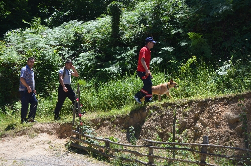 KAYBOLAN ZİHİNSEL ENGELLİ, ÖZEL EĞİTİMLİ KÖPEKLE ARANIYOR..
