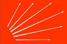 CHPDE BEKLENEN SONUÇLAR...