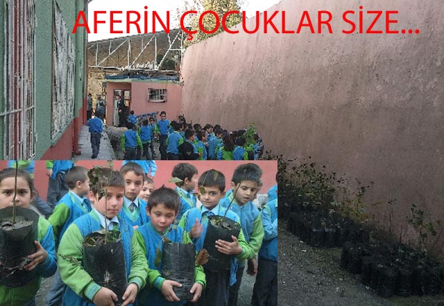 KENDİ ELLERİYLE BÜYÜTTÜLER...