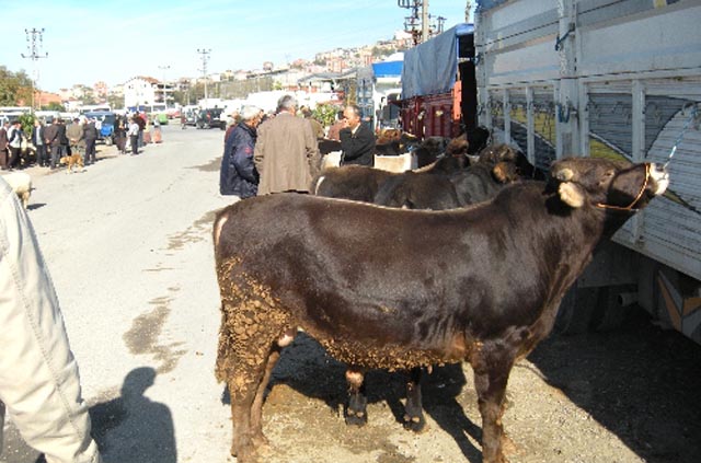 KURBAN KESİM YERLERİ BELİRLENDİ...