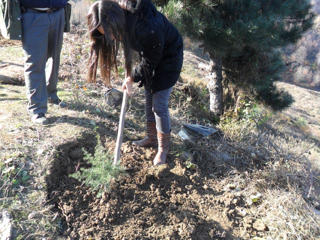 ÖĞRENCİLER FİDAN DİKTİ...