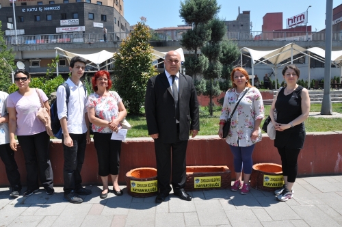 SICAK HAVA NEDENİYLE HAYVANLAR İÇİN CADDEYE SULUK YERLEŞTİRİLDİ..
