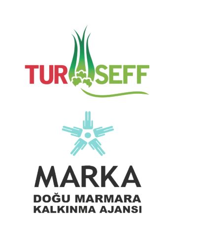 TEMİZ ENERJİ İŞBİRLİĞİ ZİRVESİ..