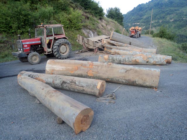 Tomrukların altında kalan kadın hayatını kaybetti